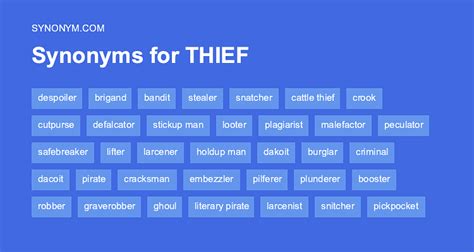 synonym for thief